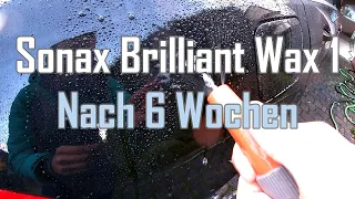 Sonax Xtreme Brilliant Wax 1 || Update nach 6 Wochen || Hat die Versiegelung nachgelassen?