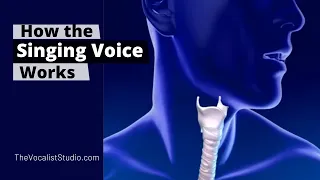 How the Singing Voice Works | Robert Lunte | The Vocalist Studio | Vocal Lessons