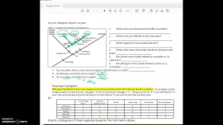 AP Two more Cladograms from class