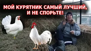 Курятник мой самый лучший - так вы должны всем говорить!