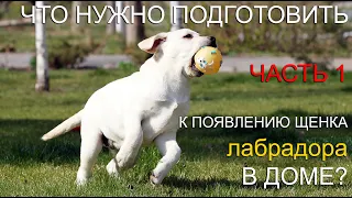 🐾 📝🐕 Что нужно подготовить к появлению щенка лабрадора в доме? ЧАСТЬ 1