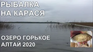 РЫБАЛКА на КАРАСЯ озеро ГОРЬКОЕ Тюменцевский район АЛТАЙ 01.05.2020 Барнаул Открываем сезон