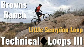 Little Scorpion Loop