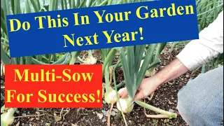 Succeed with MultiSowing!