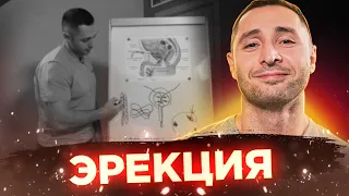 Всё об Эрекции за 13 минут от уролога Александра Дзидзария | Интересный подкаст