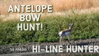 AMAZING BOW KILL ON ANTELOPE!