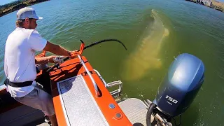 The STRANGEST MONSTER FISH I’VE EVER SEEN!!! (350 lbs)