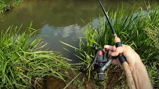 Small River with Big Fish - Best Way to Fish Them