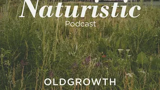 Old-growth Grasslands - Naturistic Podcast Ep. 6