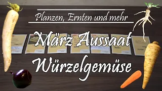 März Aussaat: Wurzelgemüse - Haferwurzel, Pastinake, Petersilienwurzel, Zwiebel, Rettich, Karotten