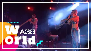 Tribali - Sitarcica // Live 2017 // A38 World