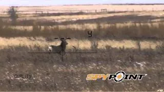 Hunting Big Mule Deer in Saskatchewan