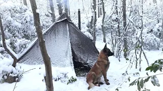 Winter-Schneesturm-Camping mit meinem Hund | Bushcraft Survival, Herdkochen, Naturfilm, Asmr