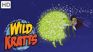 Wild Kratts 👜 Part 1: Creature Rescue from the Evil Fashion Designer | Kids Videos