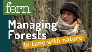 Managing forests for the future: the benefits of close-to-nature forestry