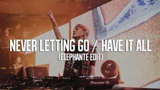 Never Letting Go / Have It All (Elephante Edit)