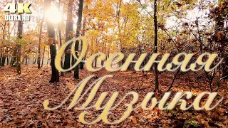 Осенняя музыка 🍁 Музыка осени 🍂 Красивая спокойная музыка для души 2022 ☀️ 4K UHD