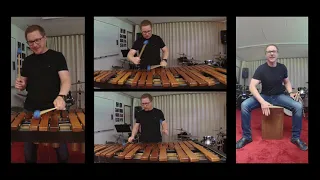 Wonderful Days Marimba Cover I Andreas Wachter I 2020