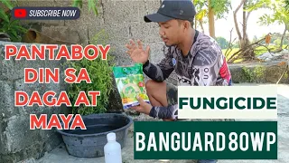 FUNGICIDE NA, PANTABOY PA SA MAYA AT DAGA | Banguard Fungicide 80WP | Tetramethyl Thiuram Desulfide