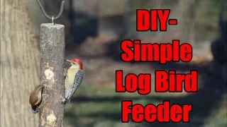 DIY - Simple Log Bird Feeder for Winter