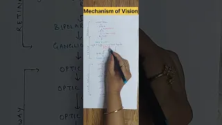 Mechanism of Vision ll Physiologyof Vision # Special Senses # youtube shorts # shorts