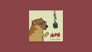 Numb - Linkin Park (cover by Bongo Dog) 🐶