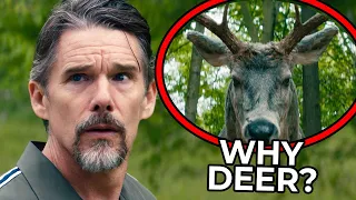 Shocking Significance of the Deer in Leave the World Behind Movie Explained