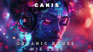 ORGANIC HOUSE MIX 2024 VOL 3 | CHILL VIBES | DOWNTEMPO | HRAACH | CAFE DE ANATOLIA | CANIS MIXTAPE