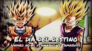 El Día del Destino (Unmei no Hi ~Tamashii vs Tamashiii~) - Cover en Español de ZpawN