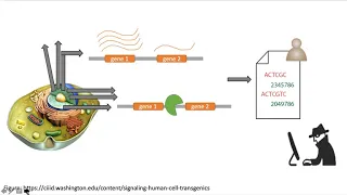 data sanitization for functional genomics data