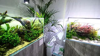 FANTASTIC FOUR -  LOW vs HIGH TECH AQUASCAPES