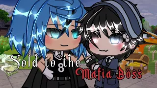 ✧ 「 Sold to the Mafia Boss 」 || Gacha life mini movie/Glmm || Aurxra  ||  ✧