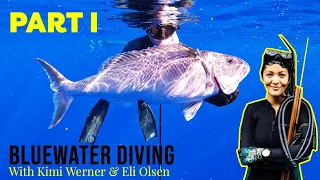 Bluewater Diving with @kimiwerner & Bottom Fishing with@eli_olson  on a PERFECT DAY - Part 1!