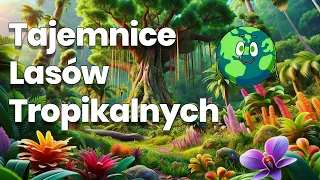 Tajemnice Lasów Tropikalnych 🌴🌎🐒 - Bajka edukacyjna dla dzieci #bajka #słuchowisko #audiobook  🦜🐅