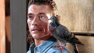 JCVD se agrupa con una paloma | Hard Target | Clip en Español