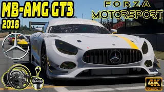 Forza Motorsport - Mercedes-AMG GT3 2018 Stock | Mugello | Thrustmaster T300 RS | TH8A