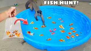 TRAINING BABY MONKEY TO HUNT FISH!