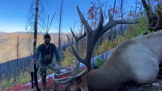 My Biggest Bull Elk Yet!!!! Backcountry Idaho Elk Hunt | S7E12| Limitless Outdoors