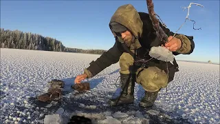 Проверка самоловак Рыбалка Первый лёд