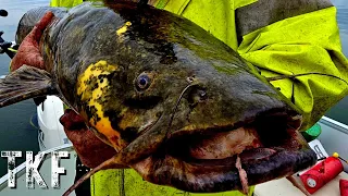 Targeting Giant Flathead Catfish On Submerged Bridges