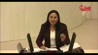 HDP'li vekil Meclis'te Kürtçe konuştu, mikrofonu kapatıldı!