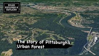 Why This Pittsburgh Neighborhood is Mostly Forest