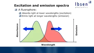 Fluorescence Spectroscopy Tutorial - Basics of Fluorescence