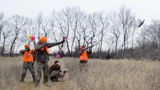 Pheasant hunting with recurve bows