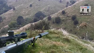 A Father-Daughter Hunt for the Mighty New Zealand Stag