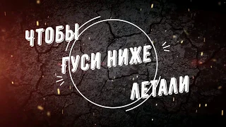 Охота 2019 Когда дичь попряталась и на охоте нечего делать #охотанагуся#охота