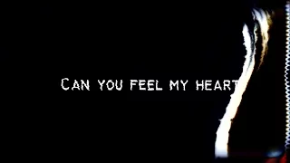 Bring Me The Horizon - Can You Feel My Heart (Acoustic Cover) - Lyric Video