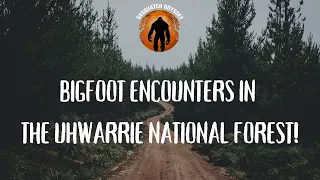 SO EP:57 Bigfoot In The Uwharrie National Forest!