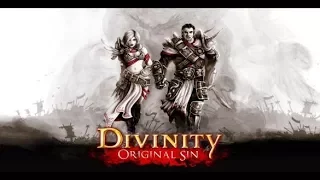 Divinity original sin enhanced edition. Co-op. (#14) Маг пошляк.