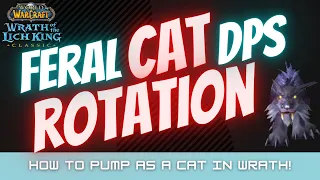 Feral Cat Rotation in Wrath Classic